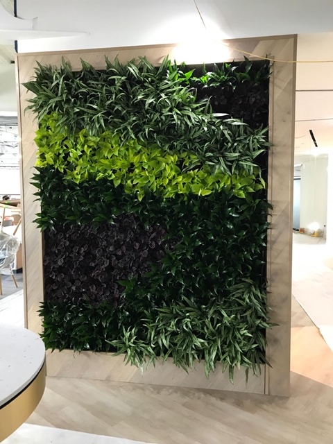 plant wall in a room