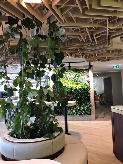 sitting area with a indoor plant and plant wall in the far back