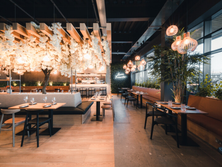 beautiful open eatery with lights on plants in the ceiling