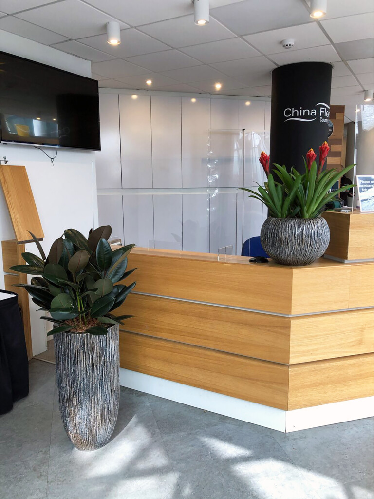 plants displayed in reception