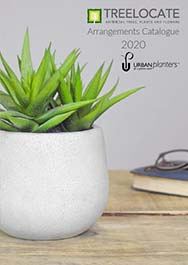 cover with a small indoor plant on table