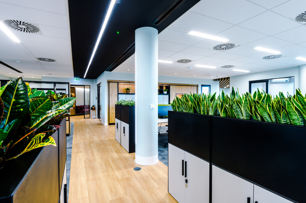 indoor plants lined up in a room 