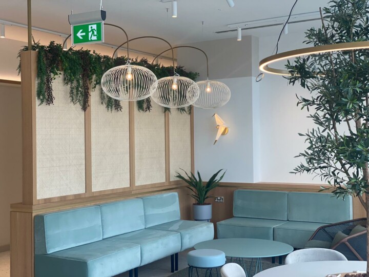 indoor plants displayed about a sitting area