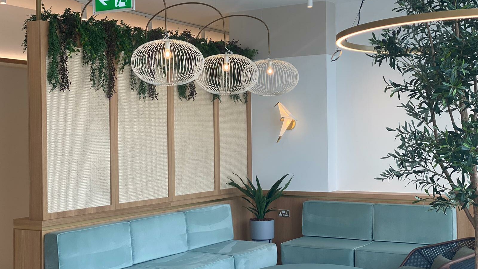 indoor plants displayed about a sitting area