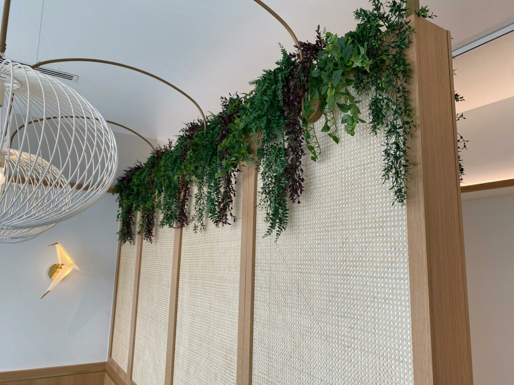 indoor plants draped on the wall