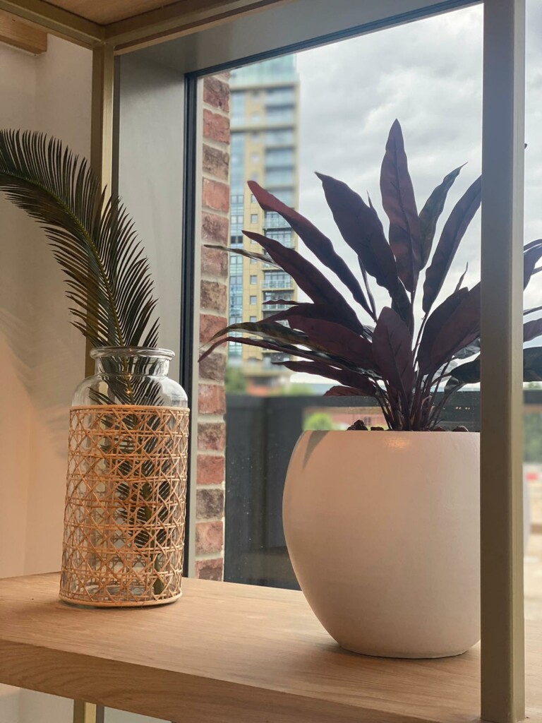 small plants on the table