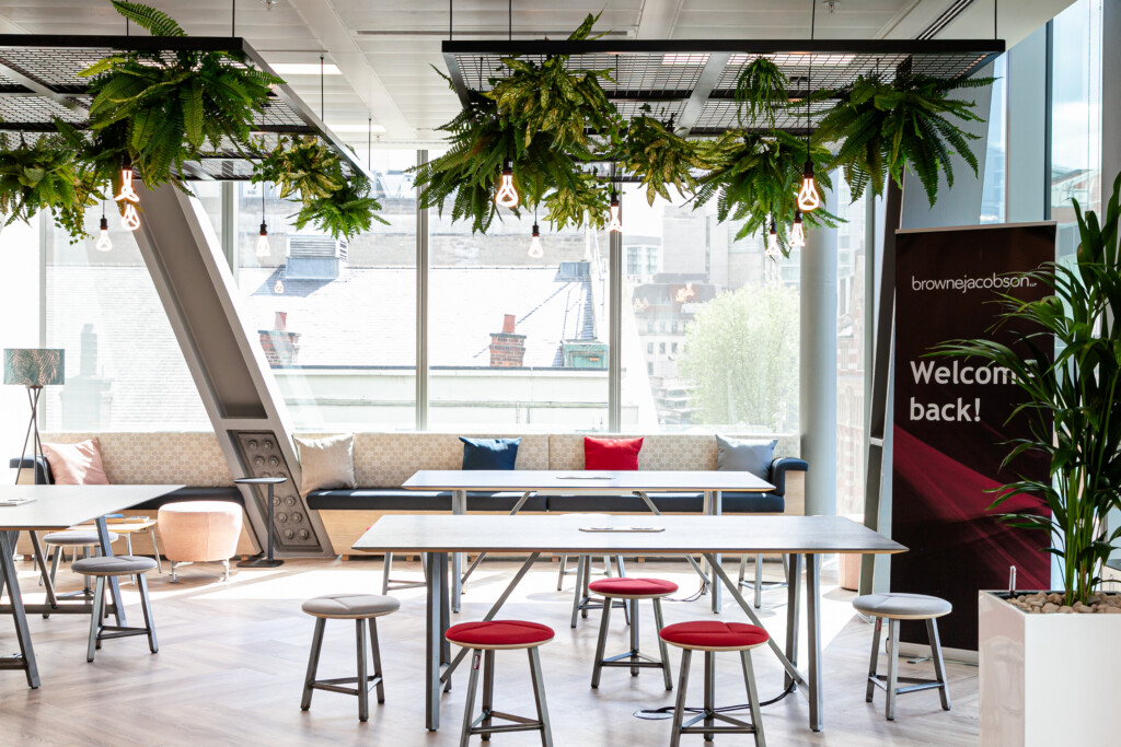 open room with plants in the ceiling