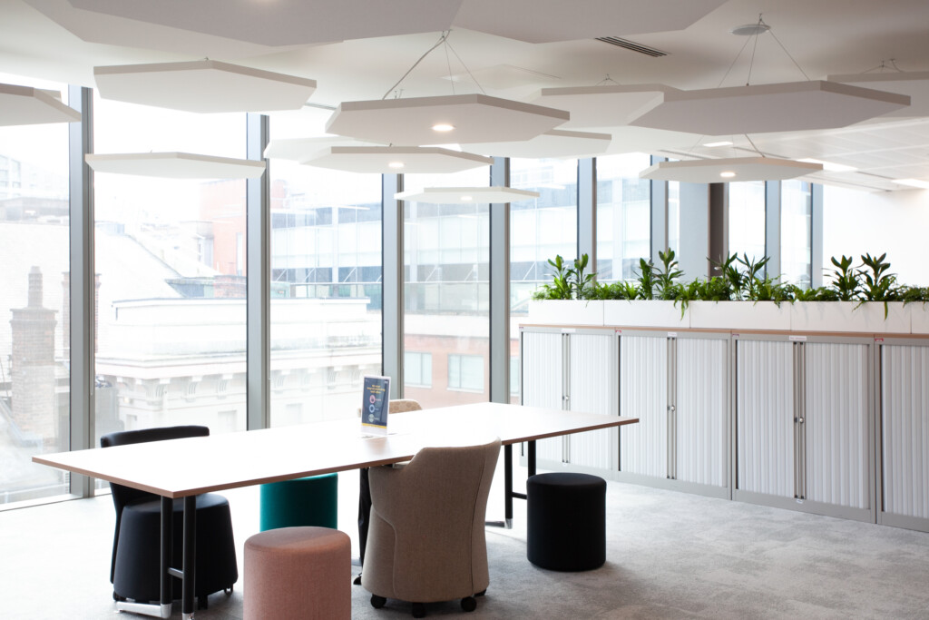 Spacious space with indoor plants displayed behind