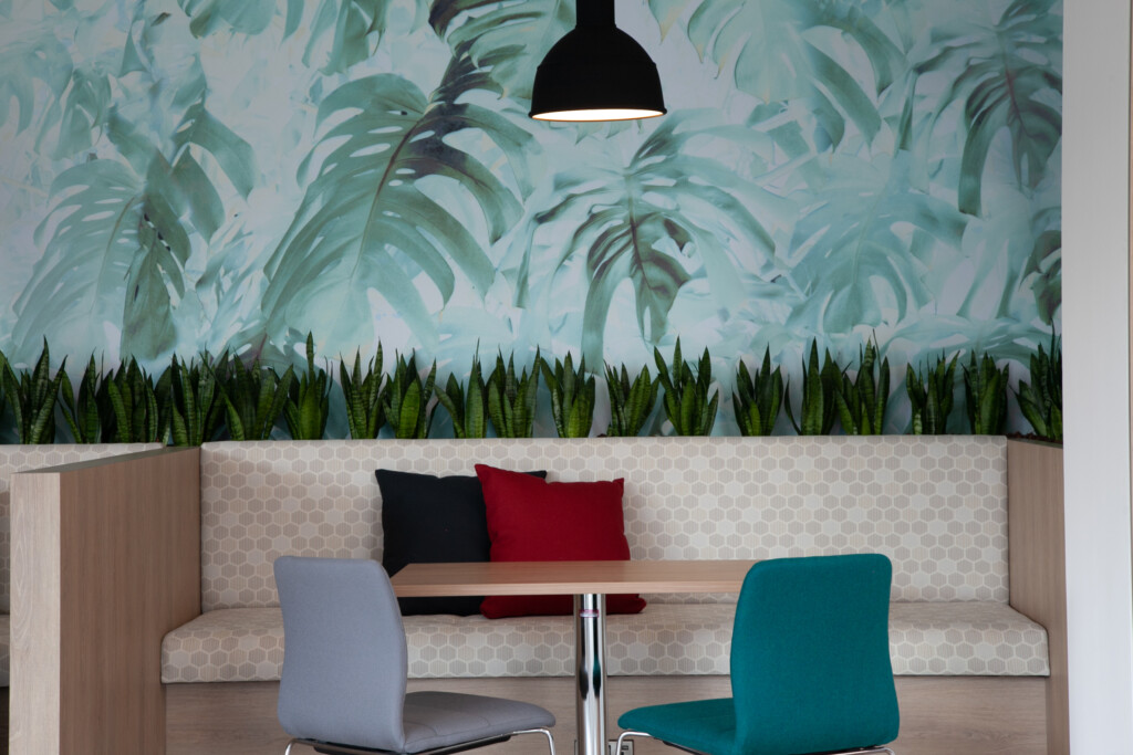 Indoor plants displayed behind a couch