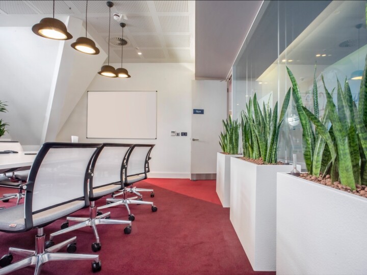 indoor plants displayed in office