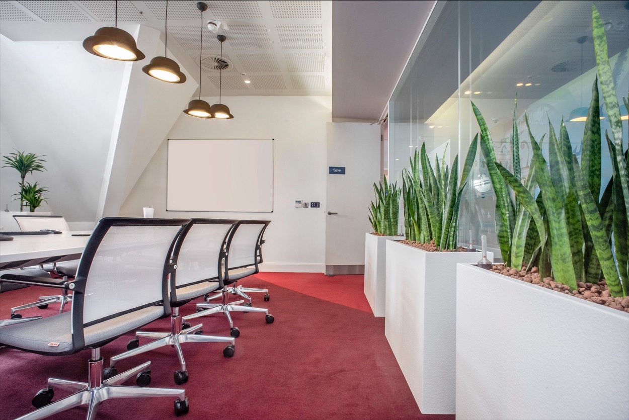 indoor plants displayed in office