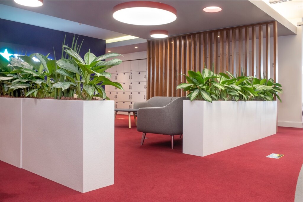 indoor plants displayed in sitting area