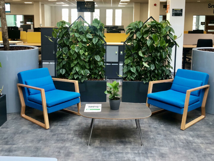 plant walls in office space