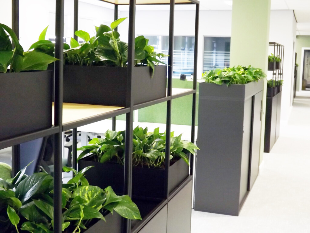 indoor plants lined up in a hallway