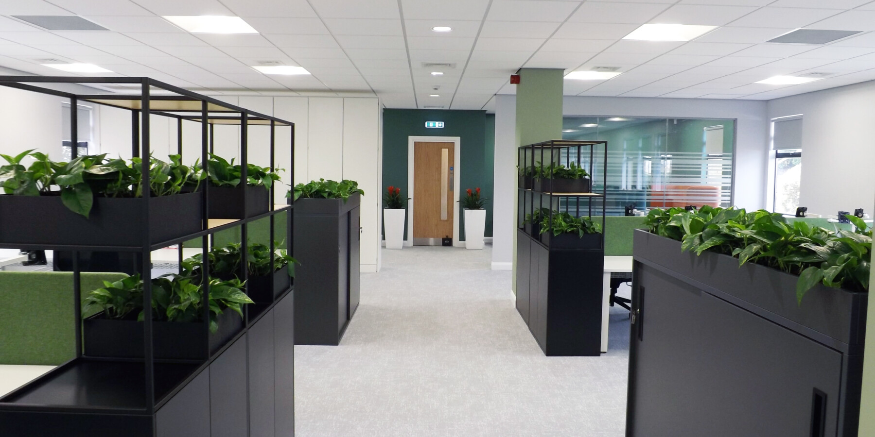 indoor plants in an office area