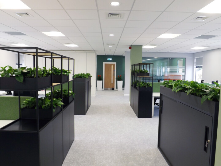 indoor plants in an office area