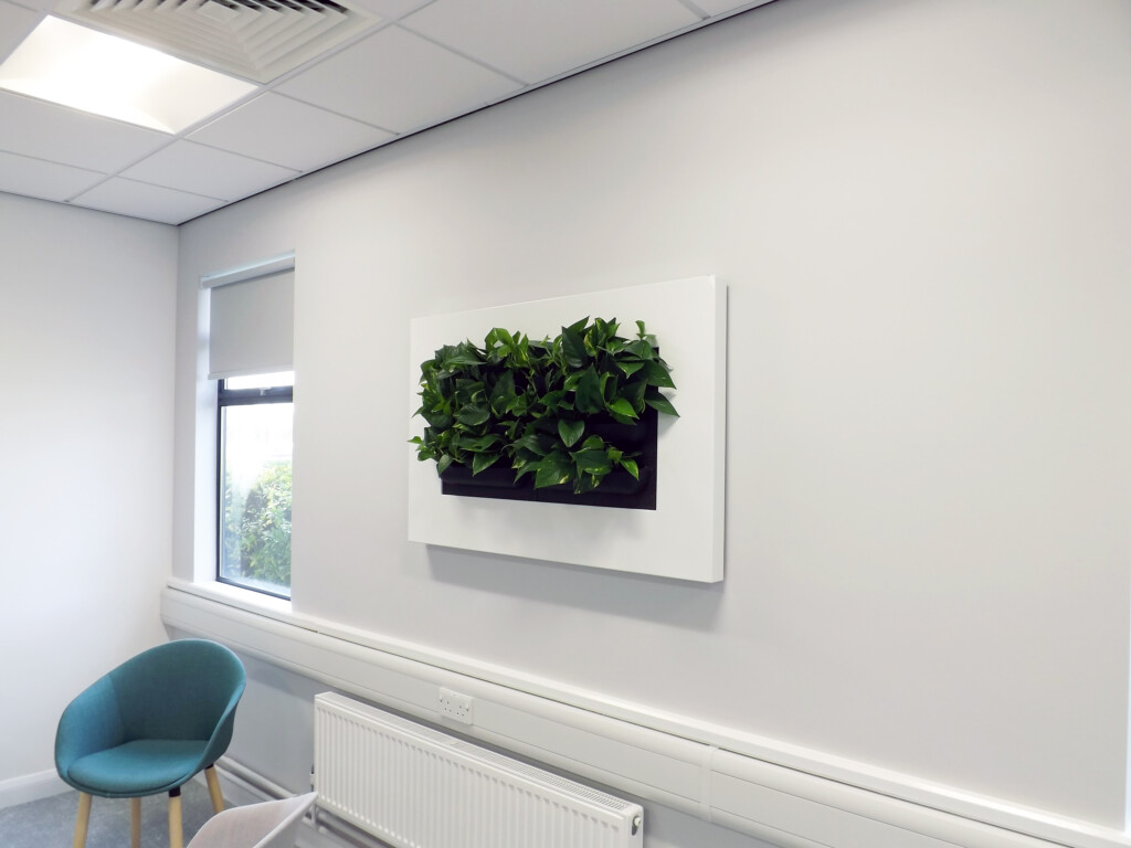 plant artwork on the wall in an sitting area 