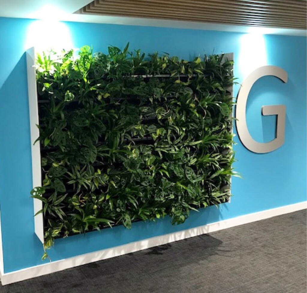 living green wall indoors