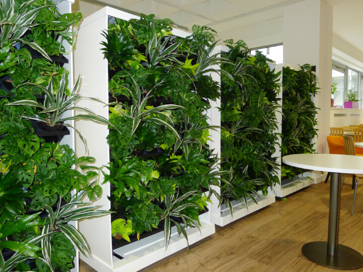 living green walls indoors