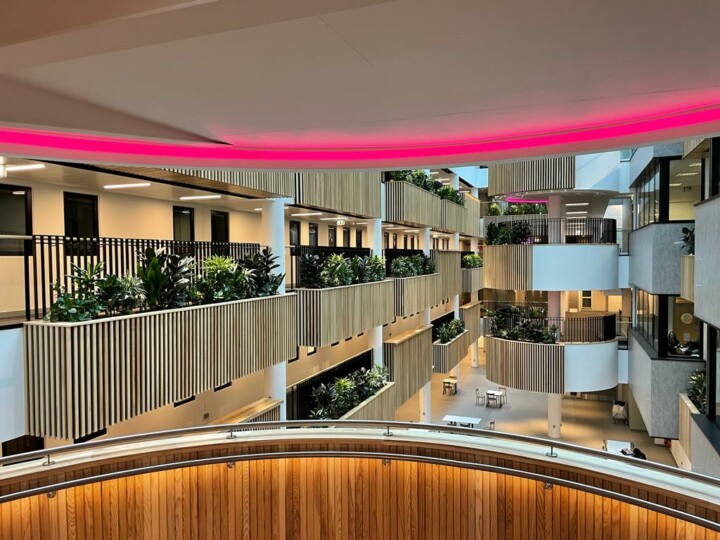 indoor live plants displayed in large building