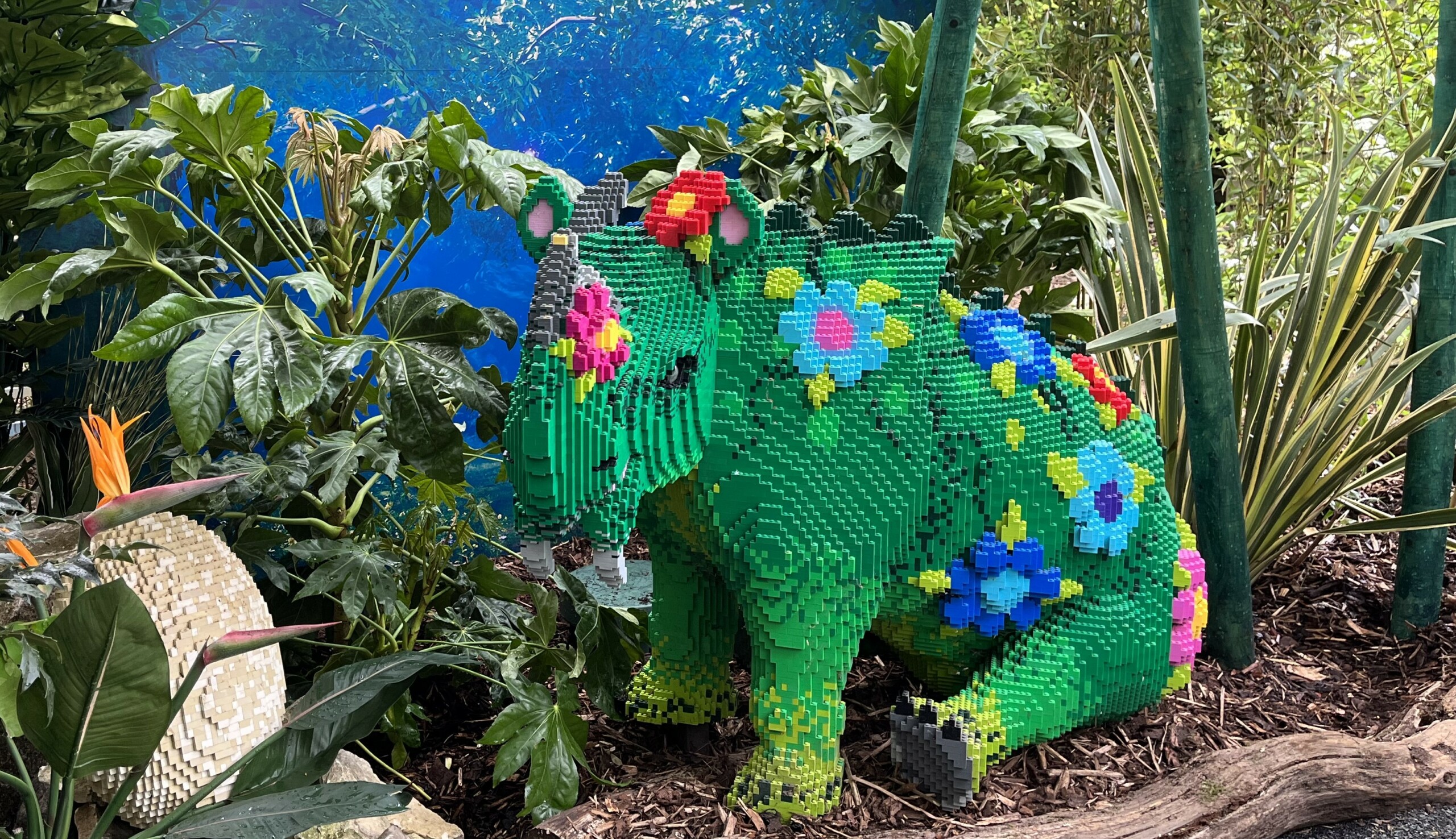 live plants surrounded by legos