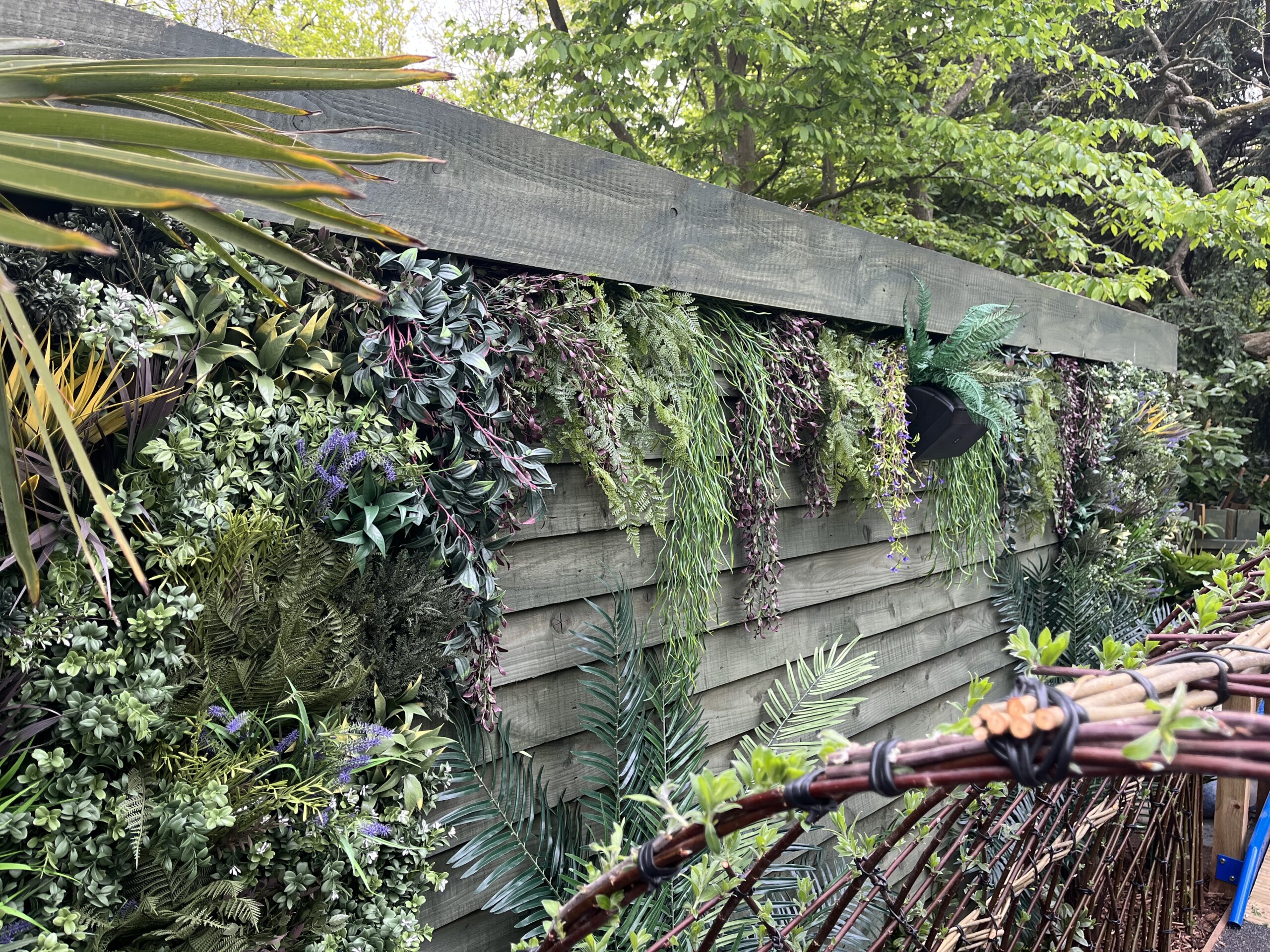 live green plants on edge of wooden structure