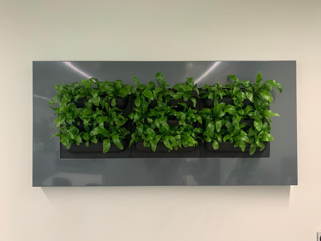 Small-scale live wall called live picture frame