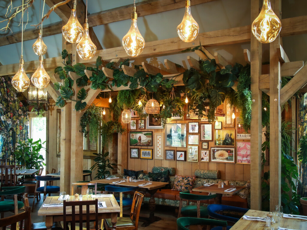 indoor plants surrounding room