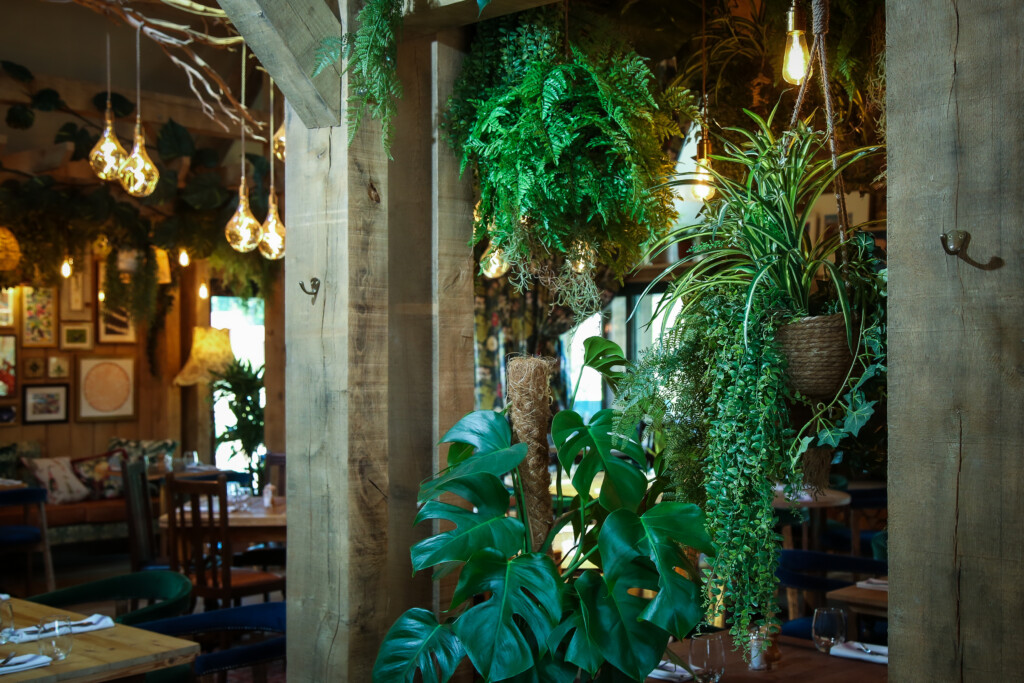 green plants on display