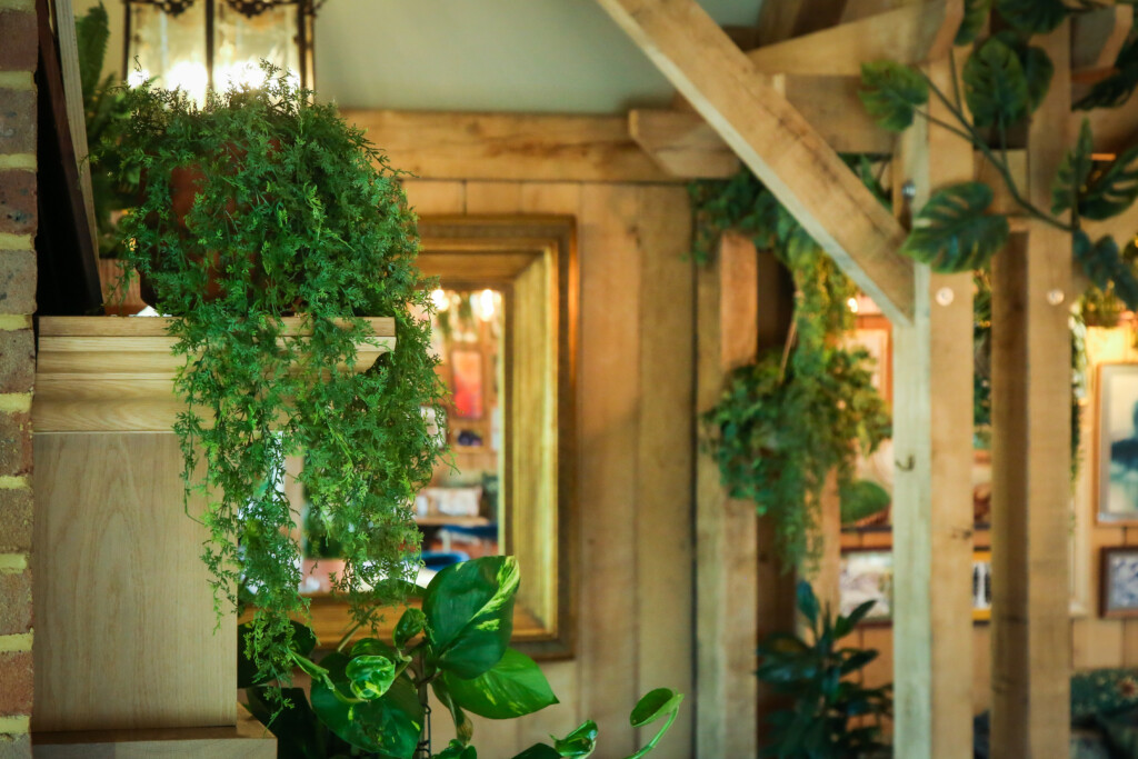 close up of indoor plants