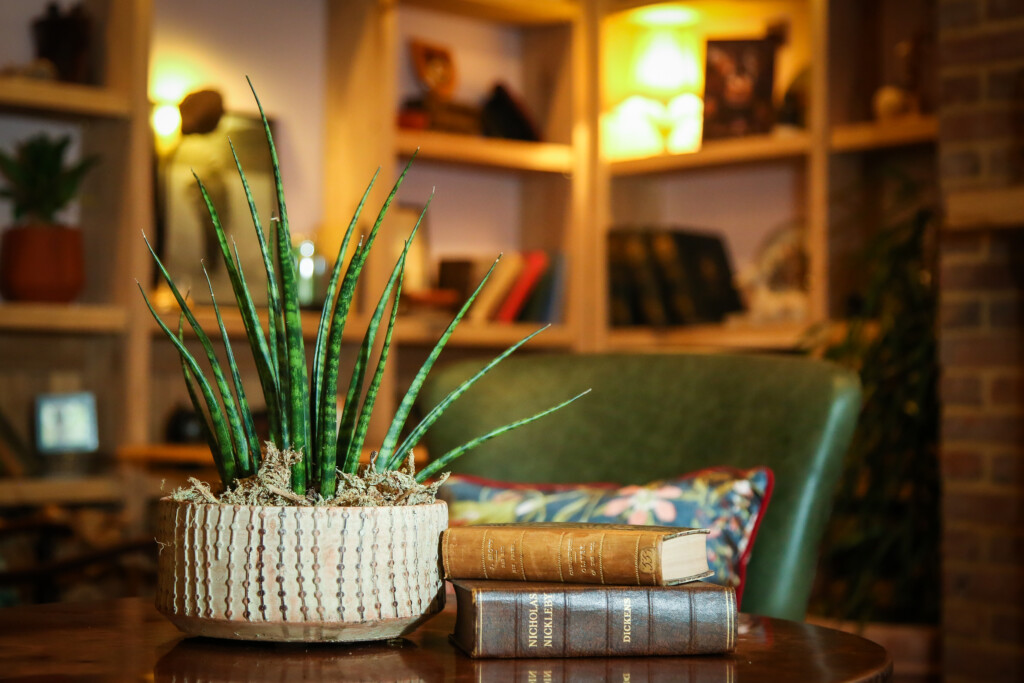 small indoor plant on table