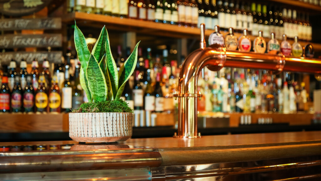 small indoor plant on bar table