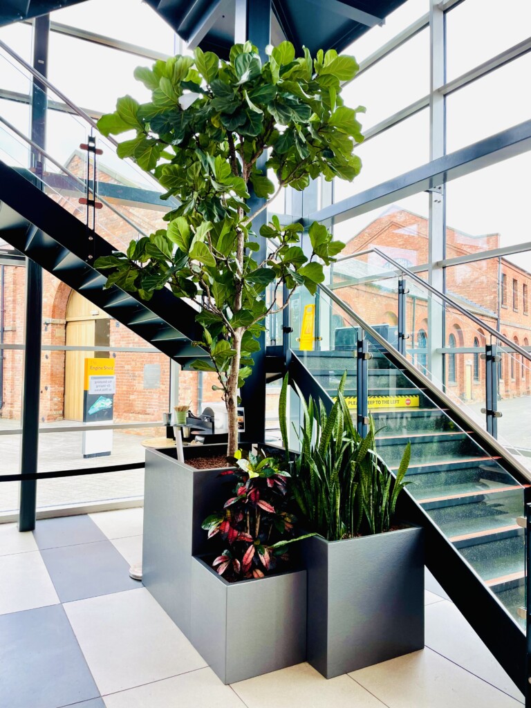 indoor plants by the staircases 