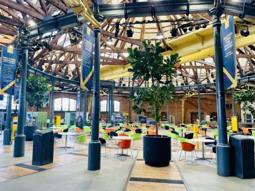 Indoor Plants at Derby College