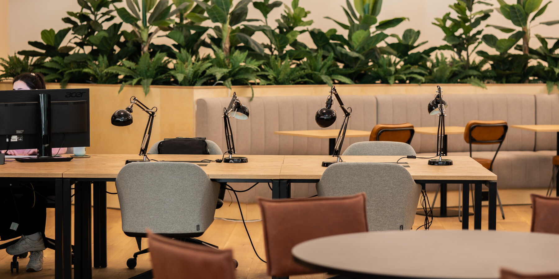 Plant dividers in the back of an office space making the room a bit more lively