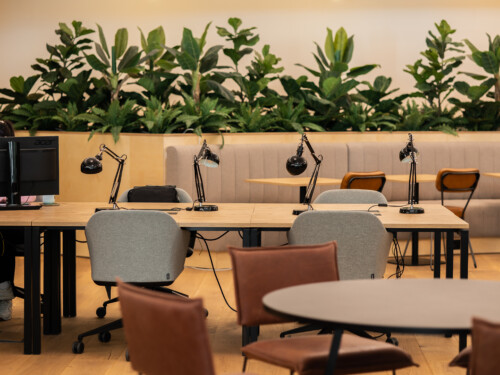 Plant dividers in the back of an office space making the room a bit more lively