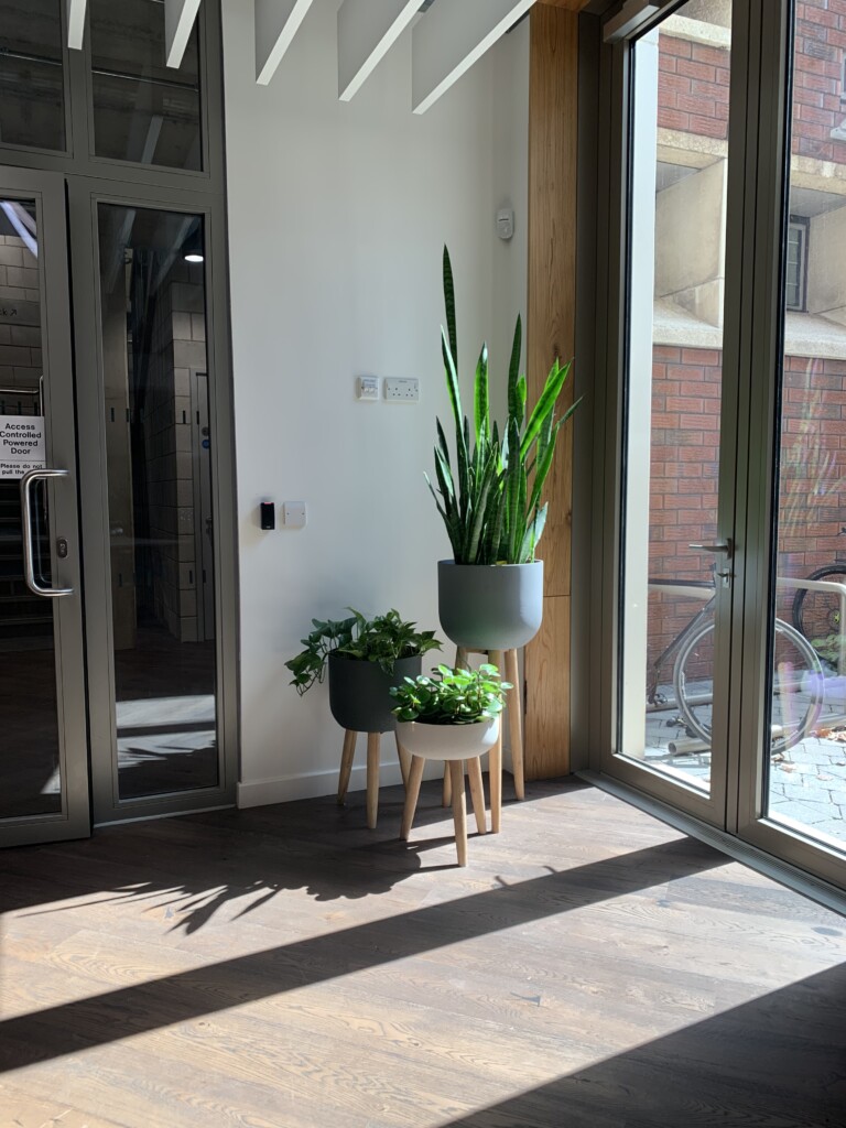 indoor plants displayed by glass door