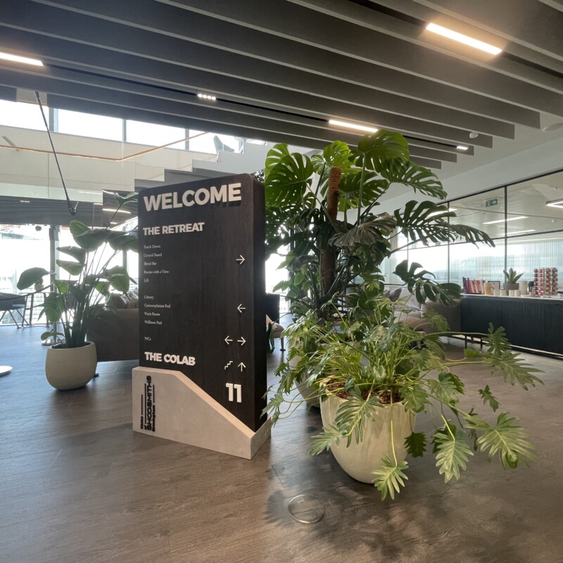 display trees in large building