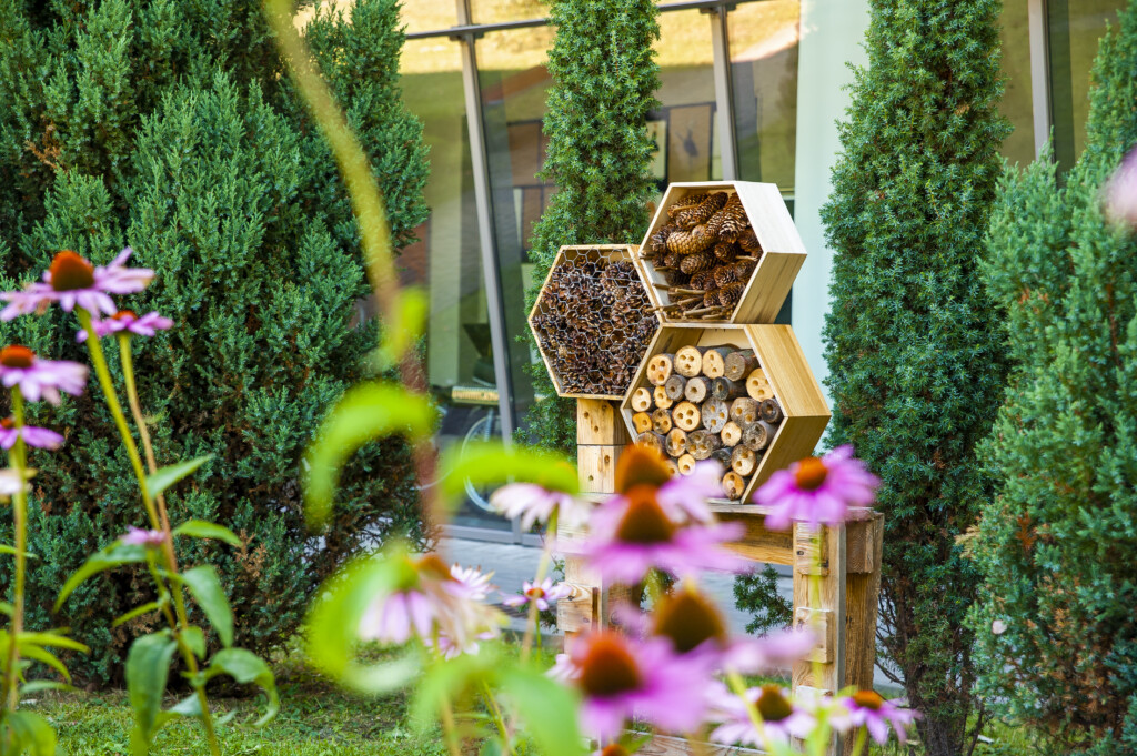 Human-made bee sanctuary