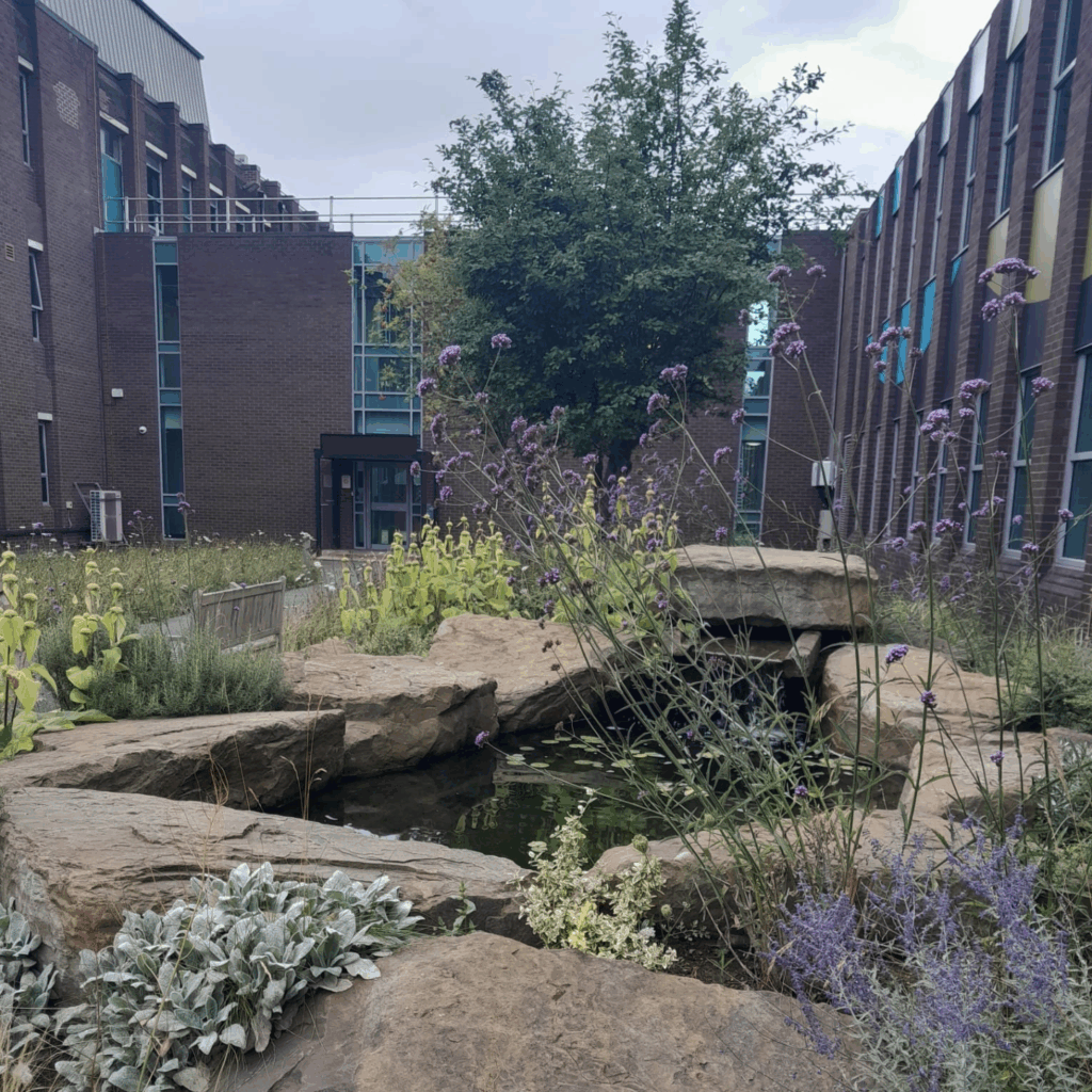 Soft landscaping installation