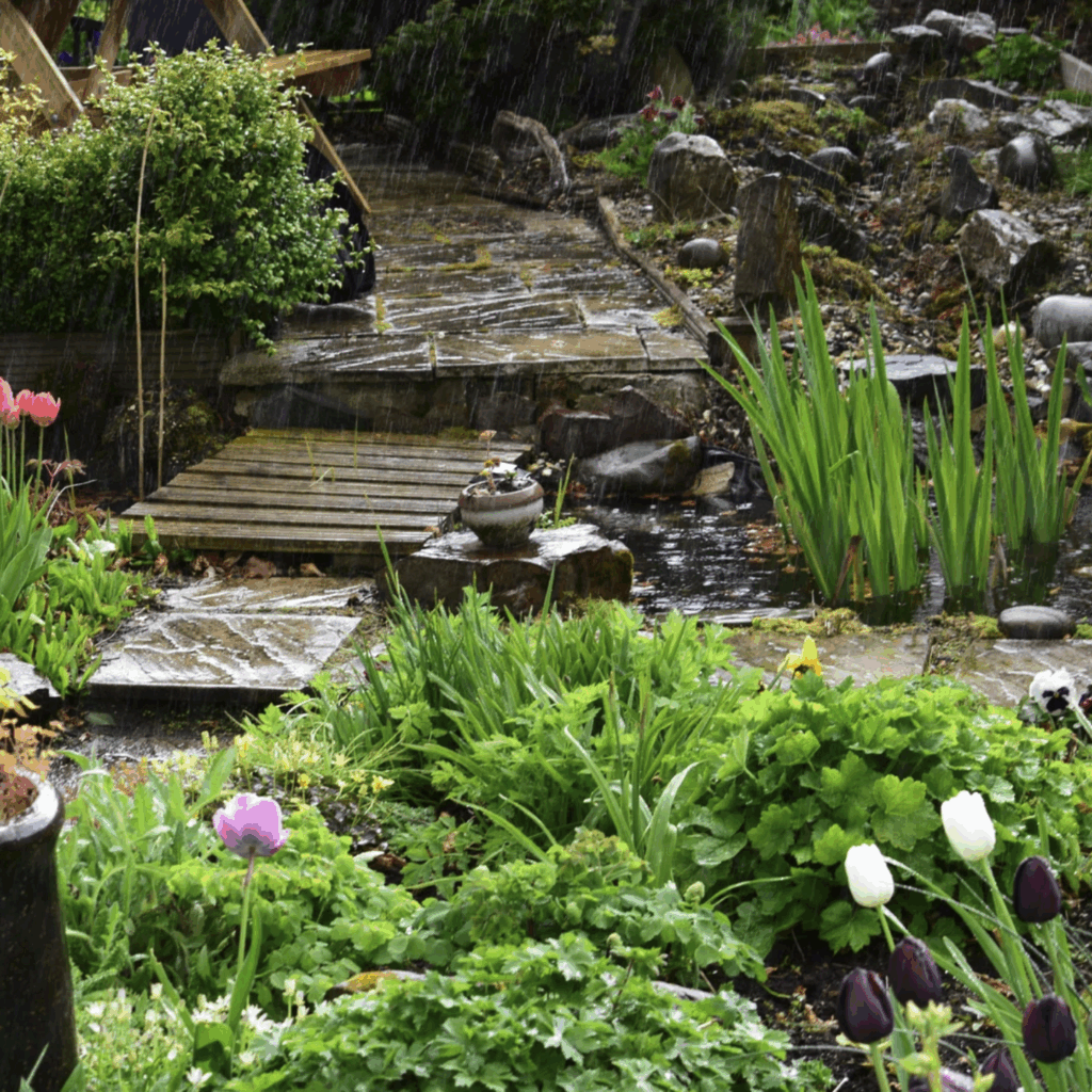 Water running through soft landscaping