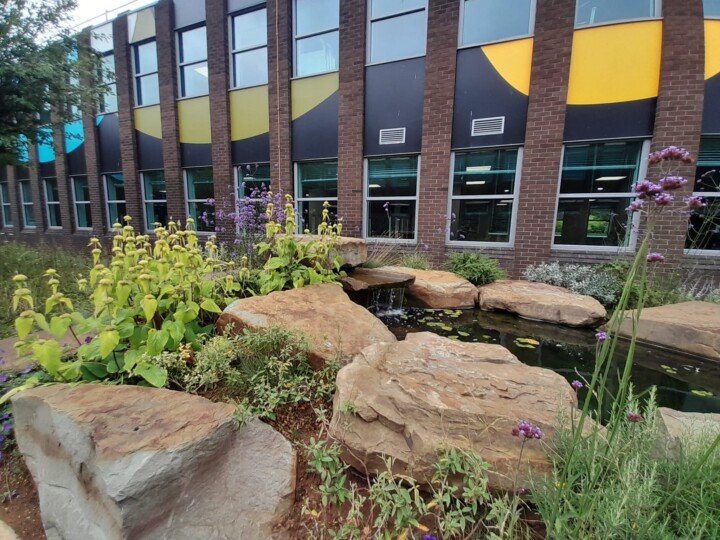 Soft landscaping Install