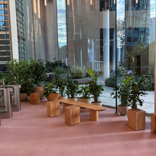 Office plants in pots in a waiting room in a big building