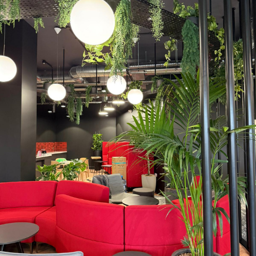 Green plants next to a red couch