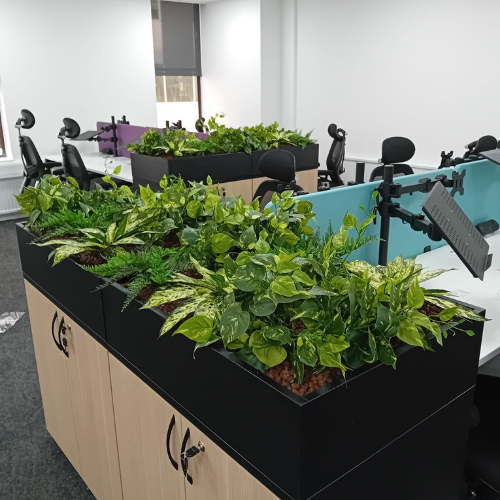 Plants in an office next to a monitor