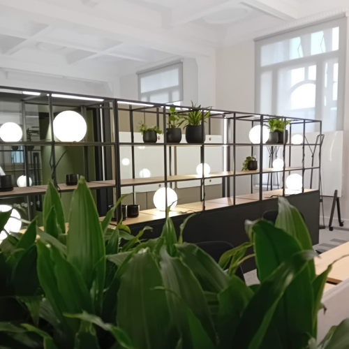 Planting baskets in a commercial space