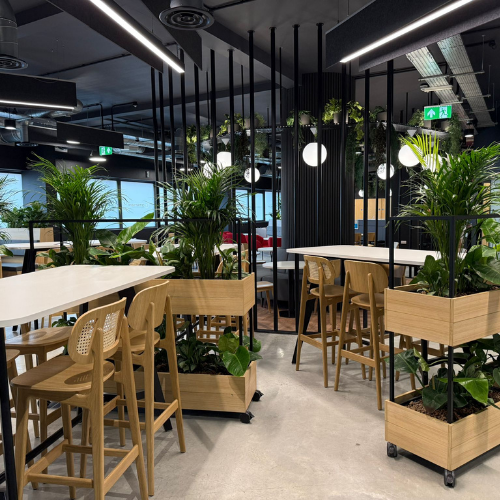 Movable green plan boxes in a restaurant