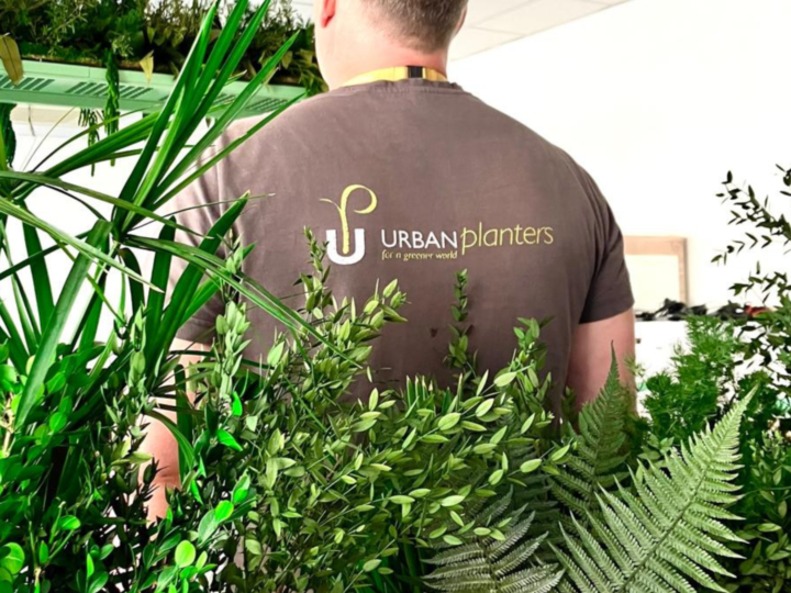 Green office plants with Urban Planters Technician standing behind them with the Urban logo on his back