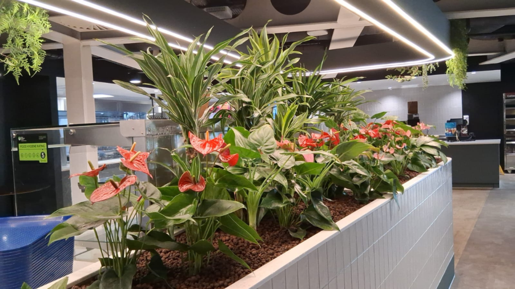 Artificial plants in an office environment