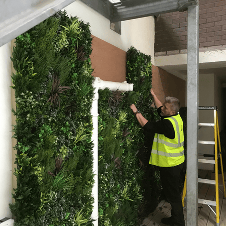Artificial Green Wall being installed in a low-light space